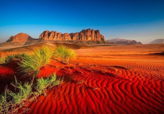 Moon Camp Wadi Rum